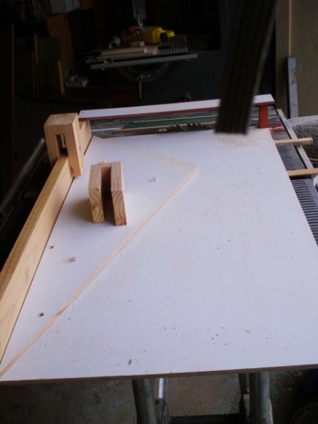 50620488 Crosscut table with Blade guard.JPG