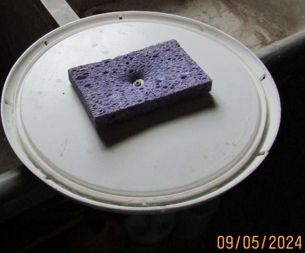 PAINT CAN SPONGE 3.JPG