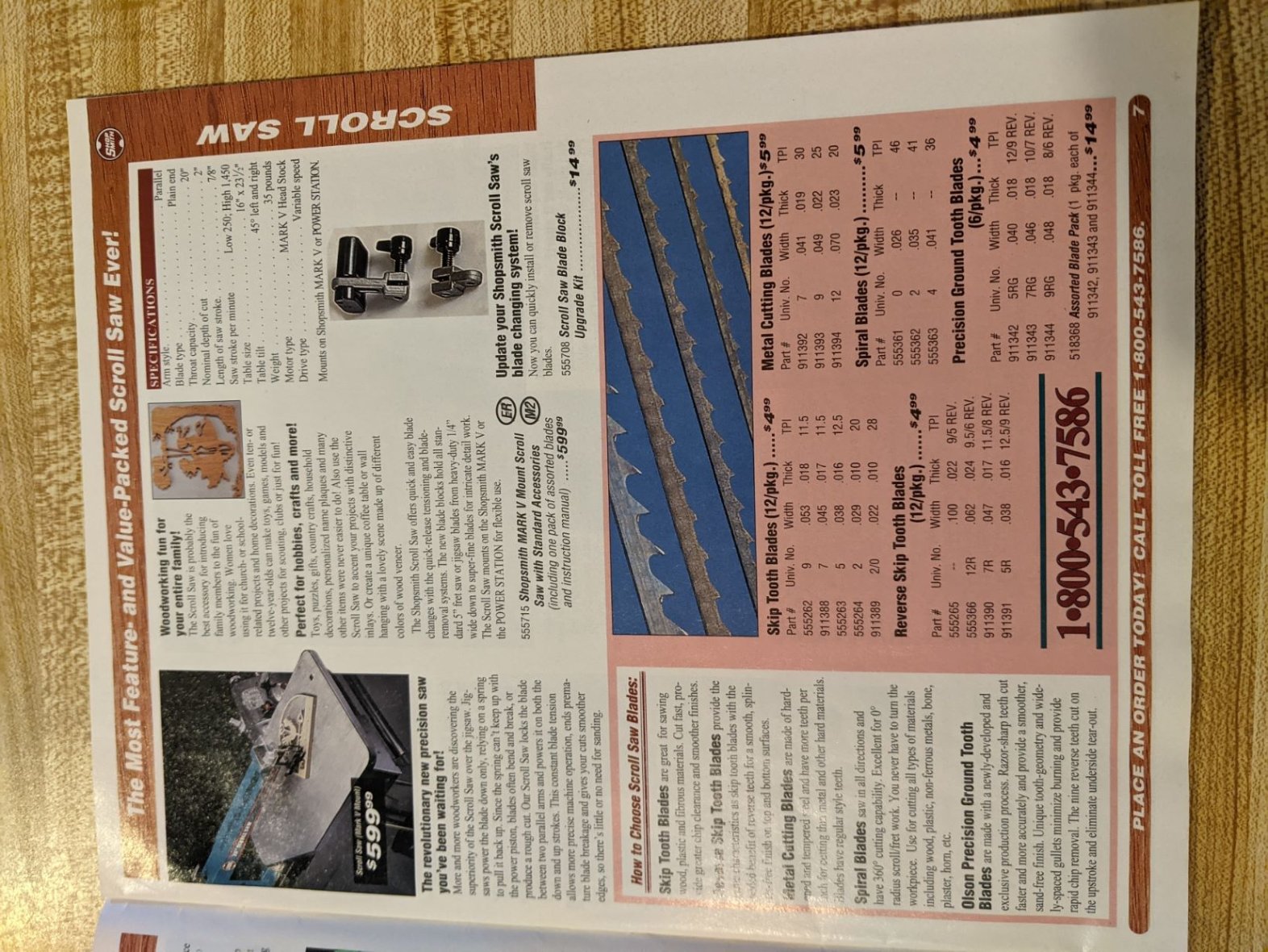 page 5.jpg