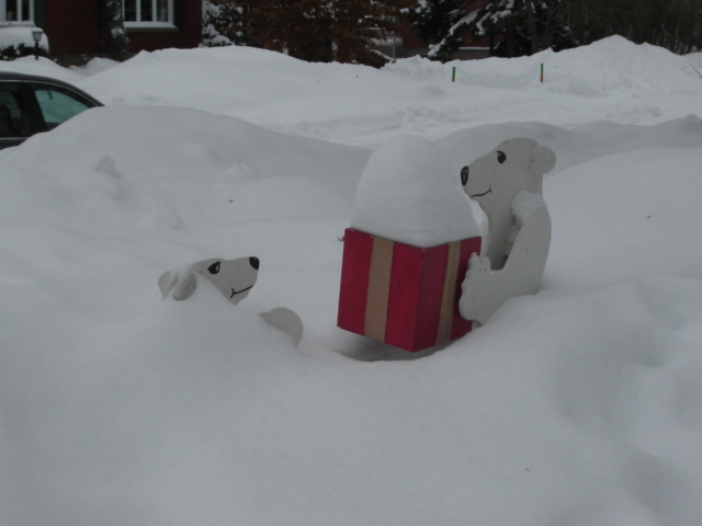 Endangered Polar Bears.JPG