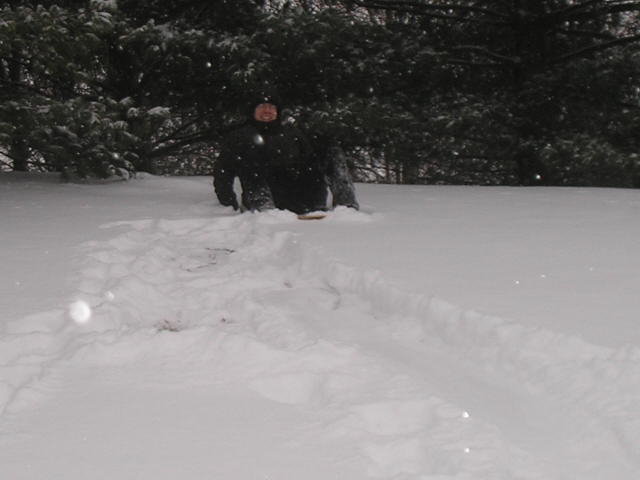 Nuhobby Sledding.jpg