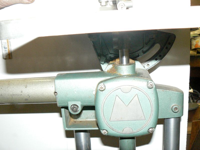 jig saw greenie b.jpg