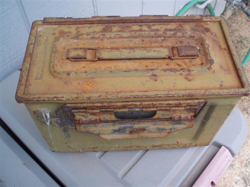 P4200003 (Medium).JPG