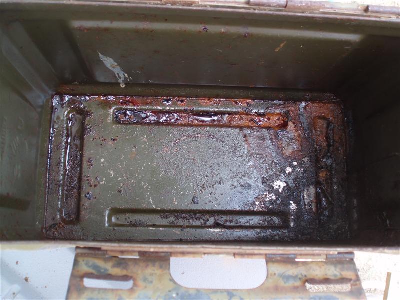 P4200004 (Medium).JPG