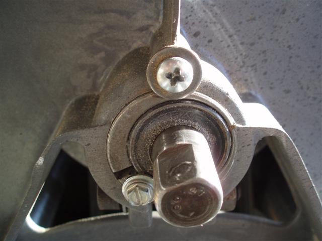 P6010007 (Small).JPG