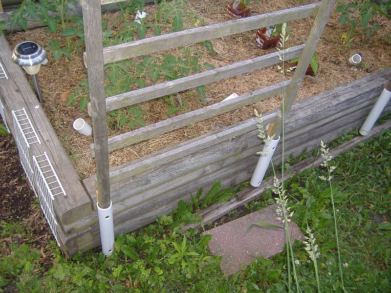 DSCF8506sc.jpg