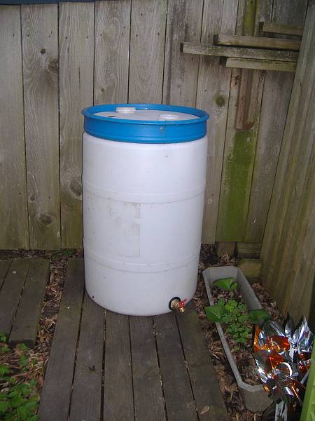 DSCF8512rsc.jpg